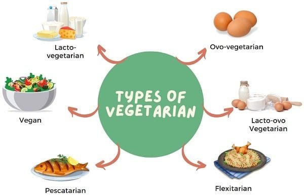 types of vegetarians