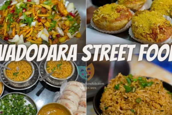 Vadodara Street Food