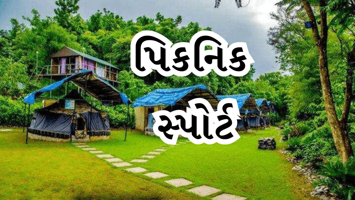 Best Places to Picnic with Kids in Gujarat