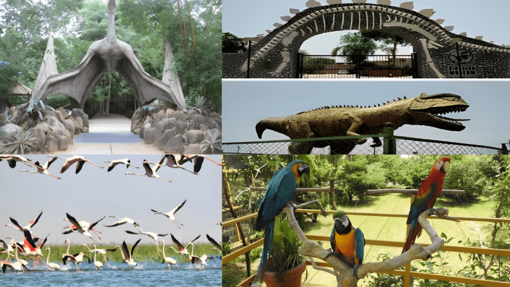 Best Places to Picnic with Kids in Gujarat