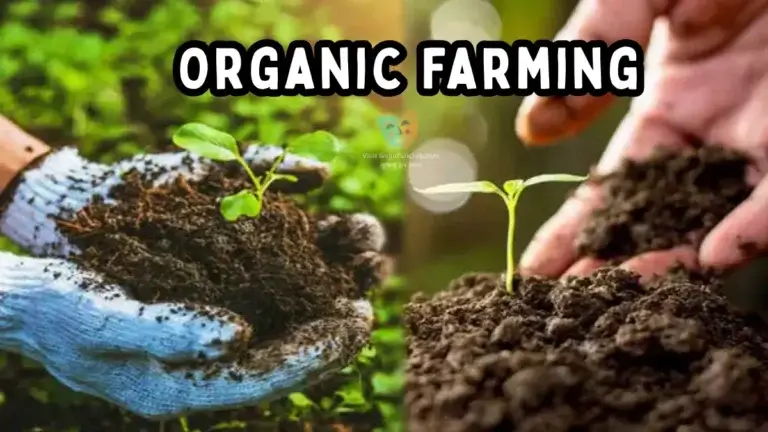 Organic Farming