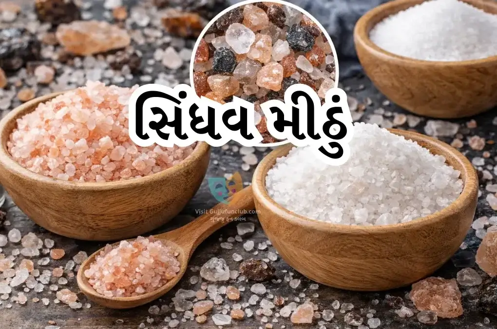 Sindhav Salt
