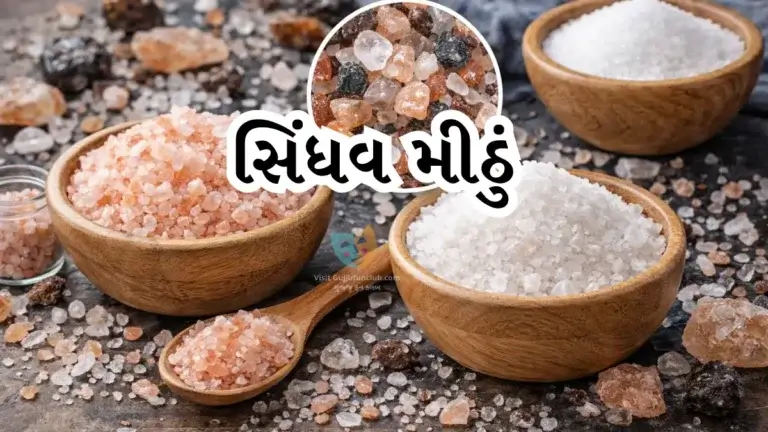 Sindhav Salt