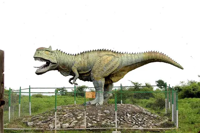 Dakor Temple History