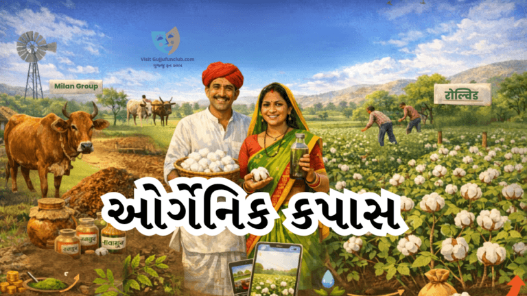 Organic Cotton